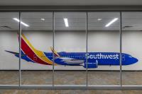 Southwest Airlines image 3